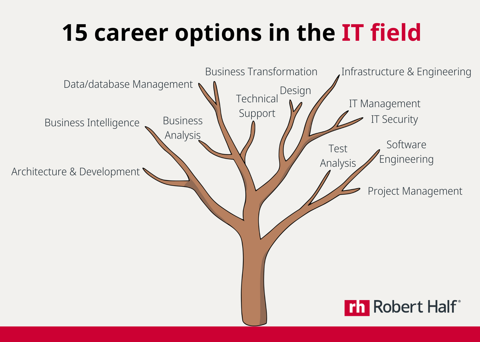 IT career optiosn in the IT field