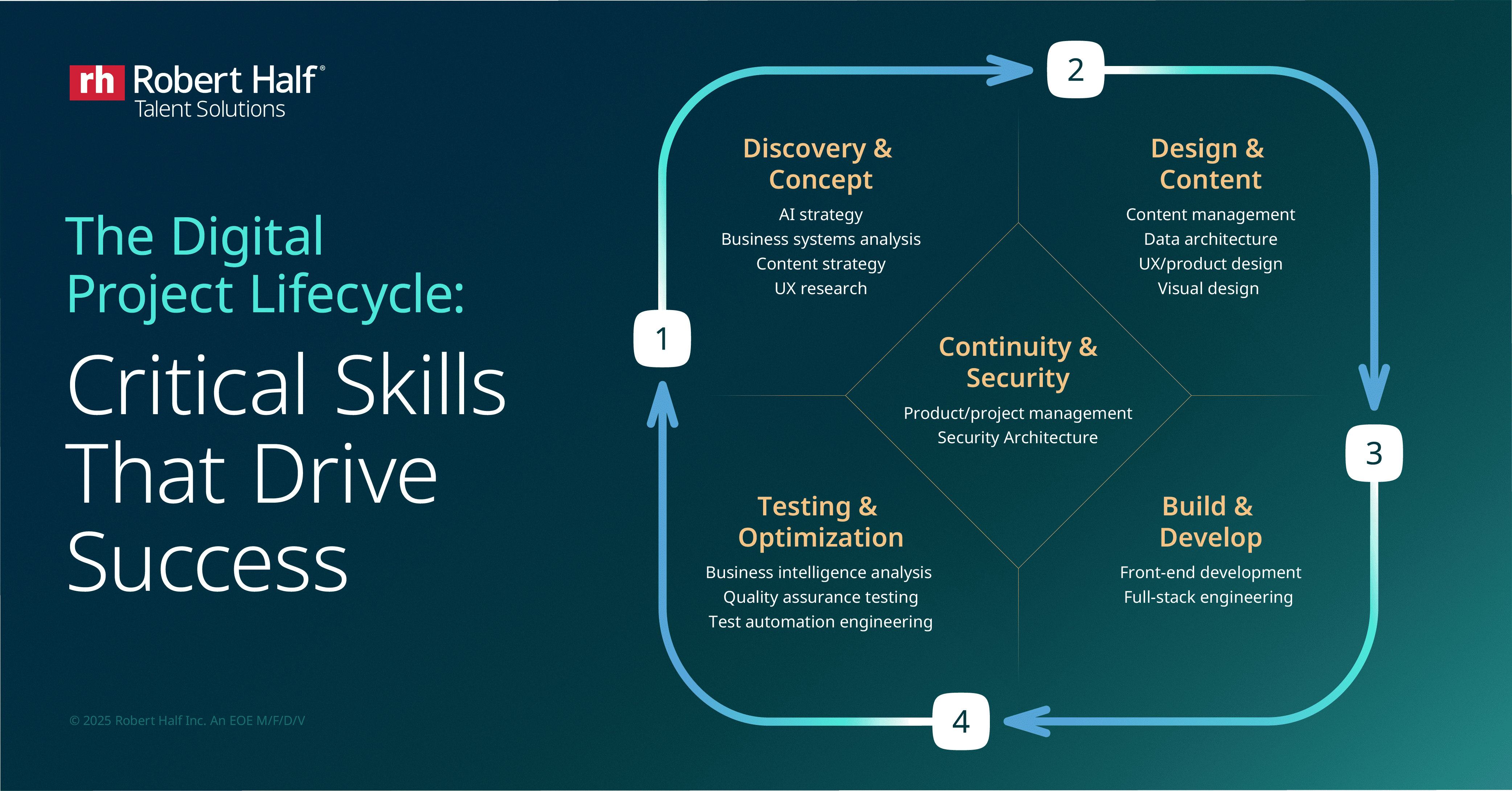 Infographic titled “The Digital Project Lifecycle: Critical Skills That Drive Success” from Robert Half. It illustrates a four-phase circular process (Discovery & Concept, Design & Content, Build & Develop, and Testing & Optimization) with Continuity & Security at the center, highlighting key skills like AI strategy, UX design, full-stack engineering, and quality assurance testing.